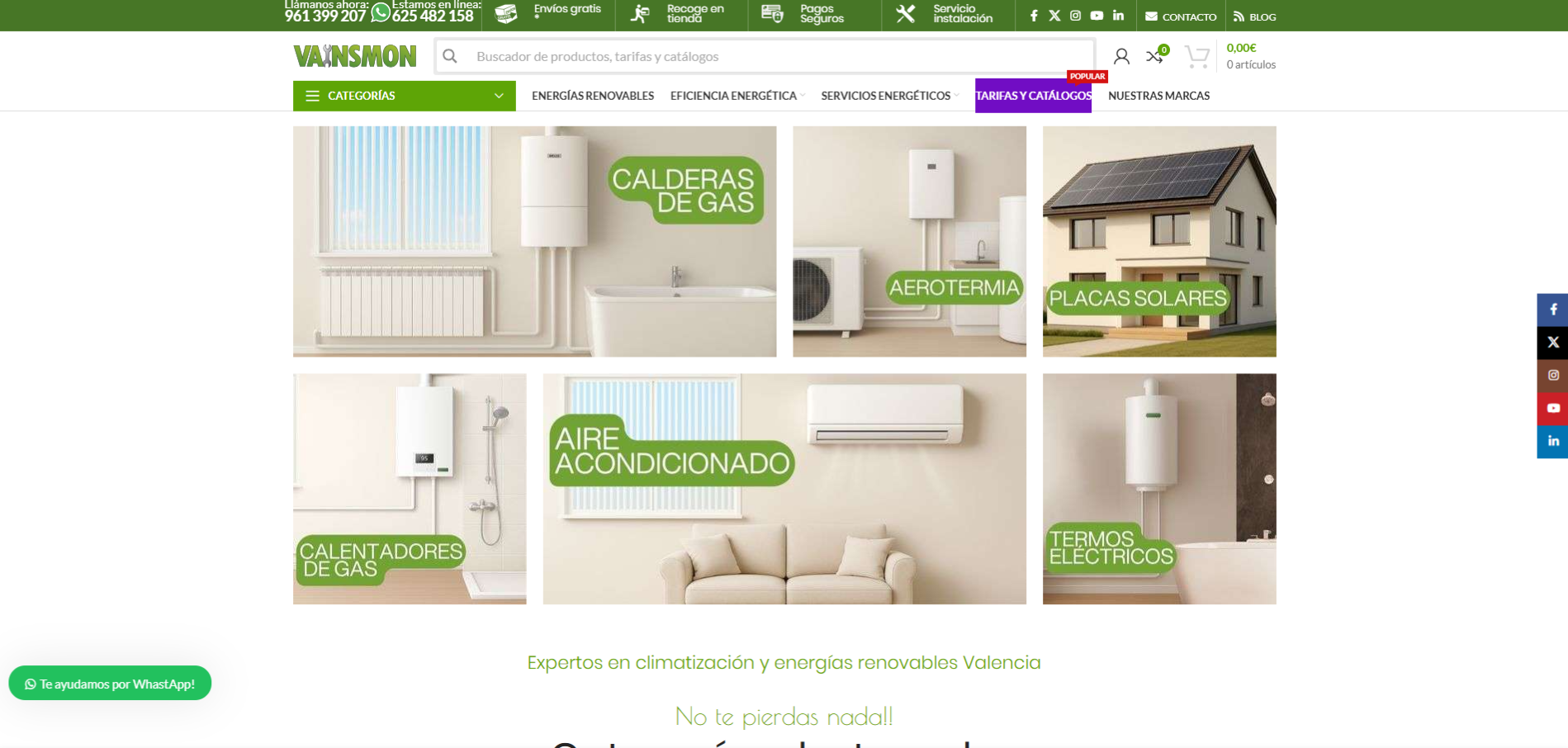 Diseño web Vainsmon en Almansa — proyecto Webzalia