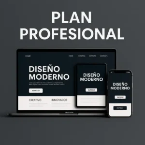 Plan Profesional